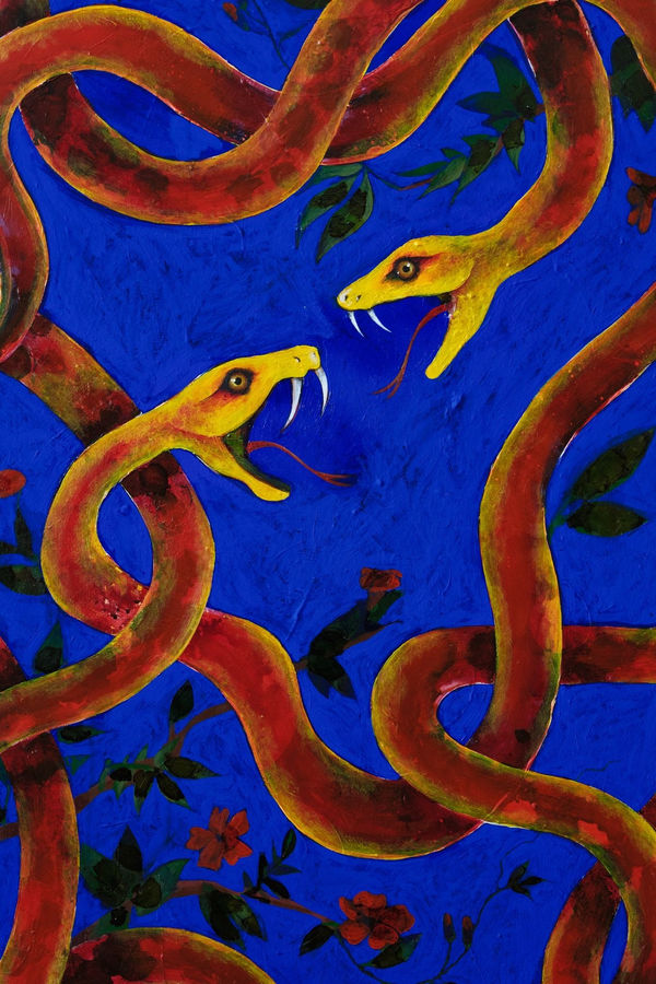 Cici McMonigle, Snakes and Waterfalls, 2025