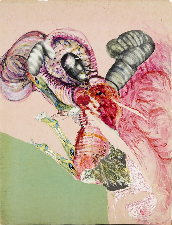 Recherche des sources de la vie II