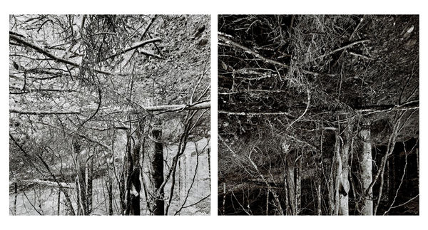 Blaise Adilon Impermanence #2 n°4, 2021 Impression jet d’encre sur papier photographique Rag fine art collage sur dibon 2 mm 1/6 2x50x50 cm