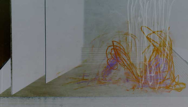 Thibault Hazelzet, Danaé 8, 2008