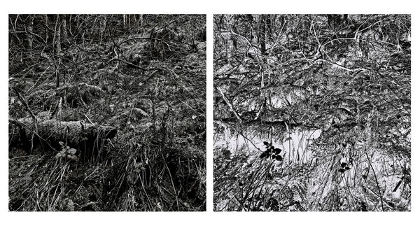 Blaise Adilon Impermanence #2 n°5, 2021 Impression jet d’encre sur papier photographique Rag fine art collage sur dibon 2 mm 2x50x50 cm