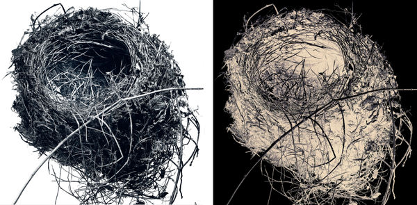 Blaise Adilon Impermanence #1 - N°3, 2017 diptyque série limitée à 6 ex + 2 épreuves d’artiste Impression jet d’encre sur papier photographique baryté collage sur dibon 2 mm 1/6 2x50x50 cm