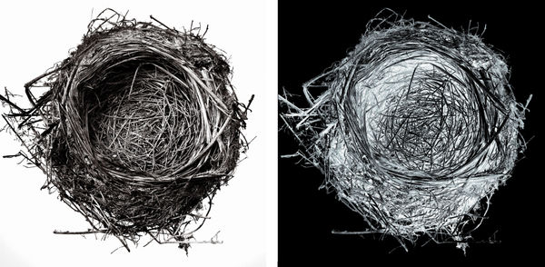 Blaise Adilon Impermanence #1 - N°4, 2017 diptyque série limitée à 6 ex + 2 épreuves d’artiste Impression jet d’encre sur papier photographique baryté collage sur dibon 2 mm 1/6 2x50x50 cm