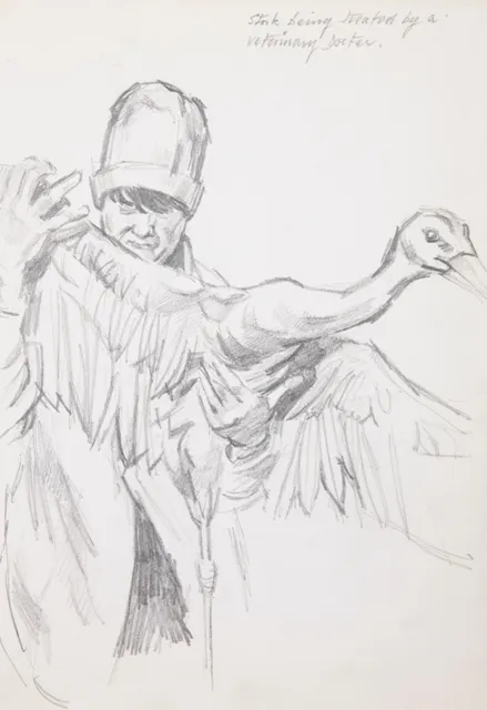 Derek Stafford, Stork being treated by a Veterinary Doctor , 1944