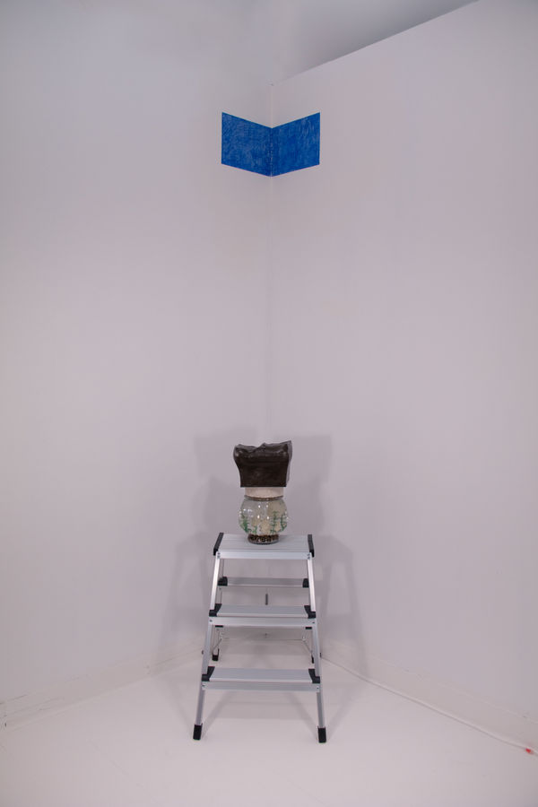 Maho Donowaki, I’ll Swim If You Swim Too, 2021