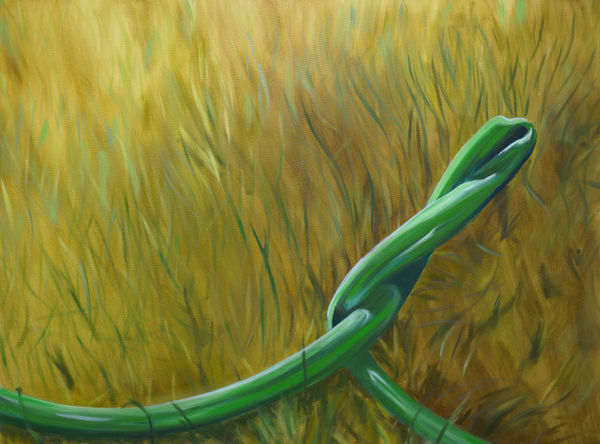 Aglaé Bassens (b. 1986) Bursting, 2021 Oil paint on canvas 24 x 32 inches 61 x 81.3 cm