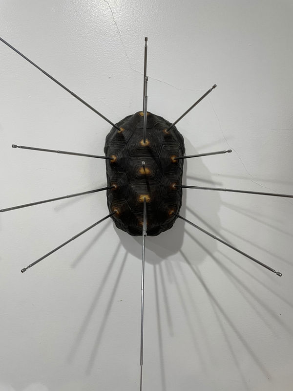 Louis Osmosis, Shell, 2020