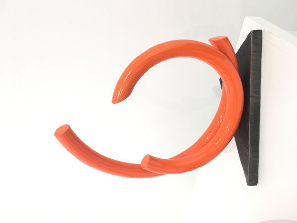 John Clement, Tulip, 2012