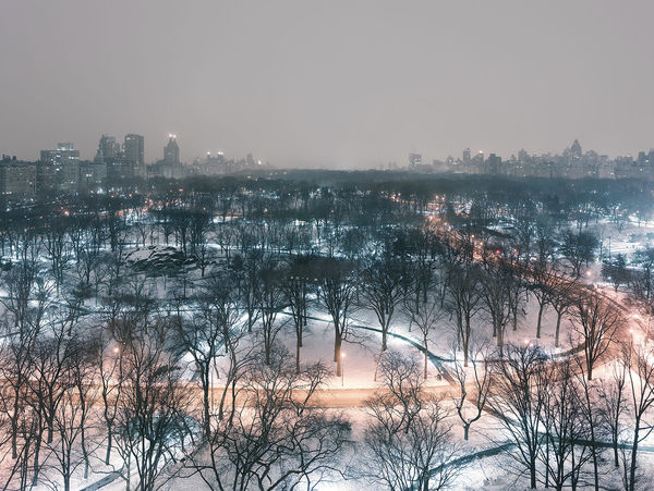 Josef Hoflehner, Central Park Winter Night, 2014