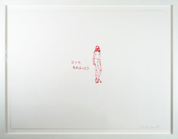 Tracey Emin, Dog Brains, 2000