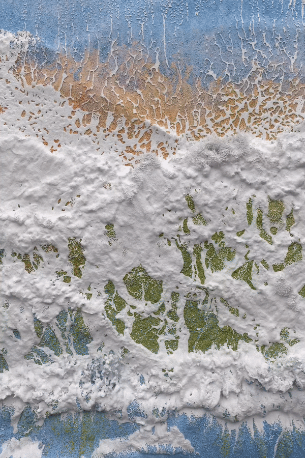 Jesse Woolston, Cacophony in Placidity, 2023