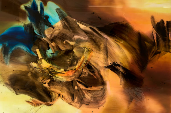 Camille Hannah, Bellus Feminum