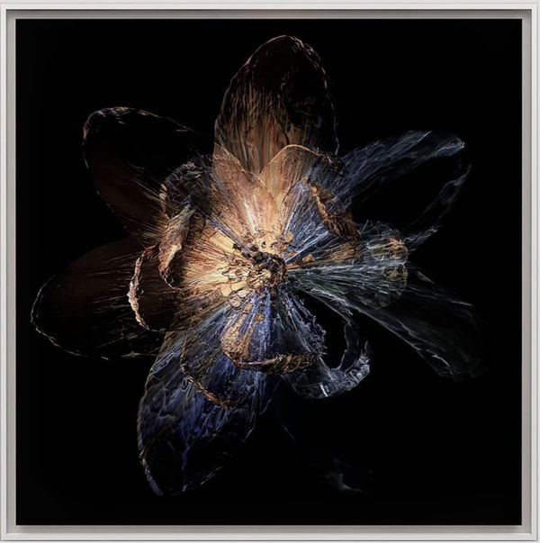 Sougwen Chung, Studies for Flora Rearing Agricultural Network, 2020