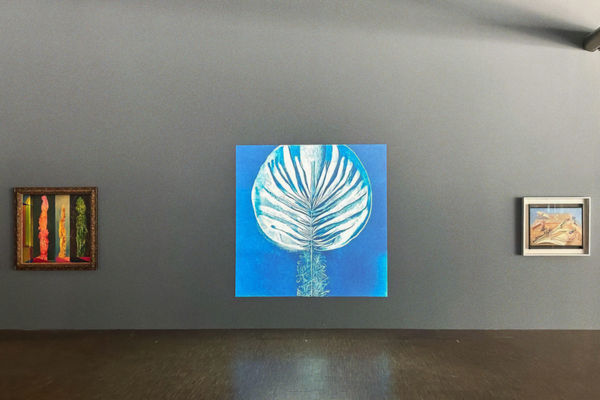 Sofia Crespo, temporally uncaptured, 2023-2024