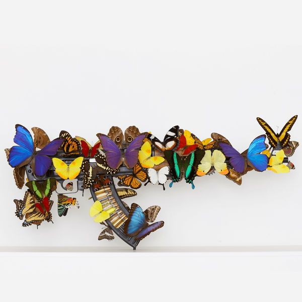 Beat of a Wing Draco