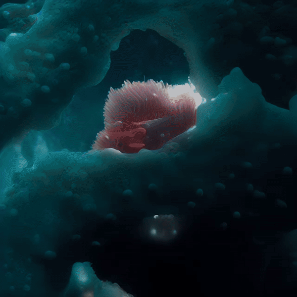 Agoria, {Bohem-IA-XL2}, 2023