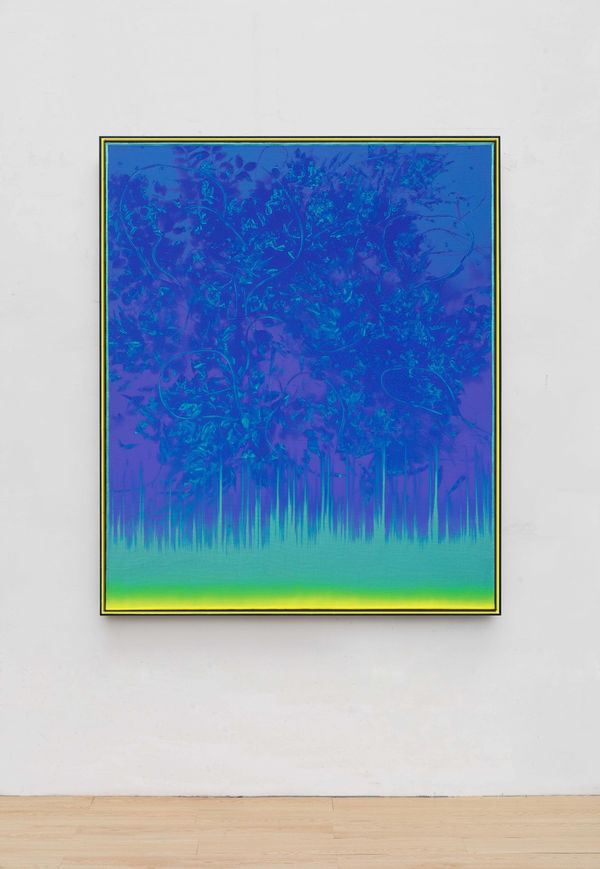 Lightening's Edge 2020013