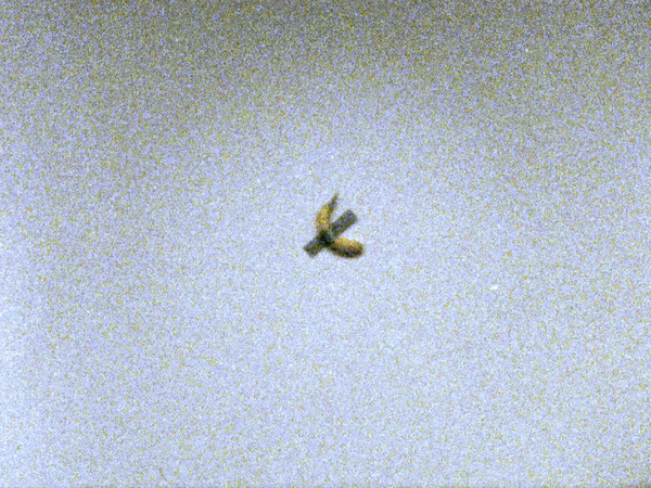 Justin Aversano, Moments of the Unknown 258. December 21st, 2025