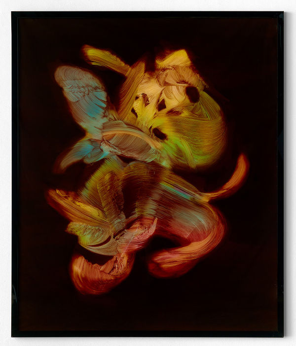 Camille Hannah, Venus In Furs, 2017