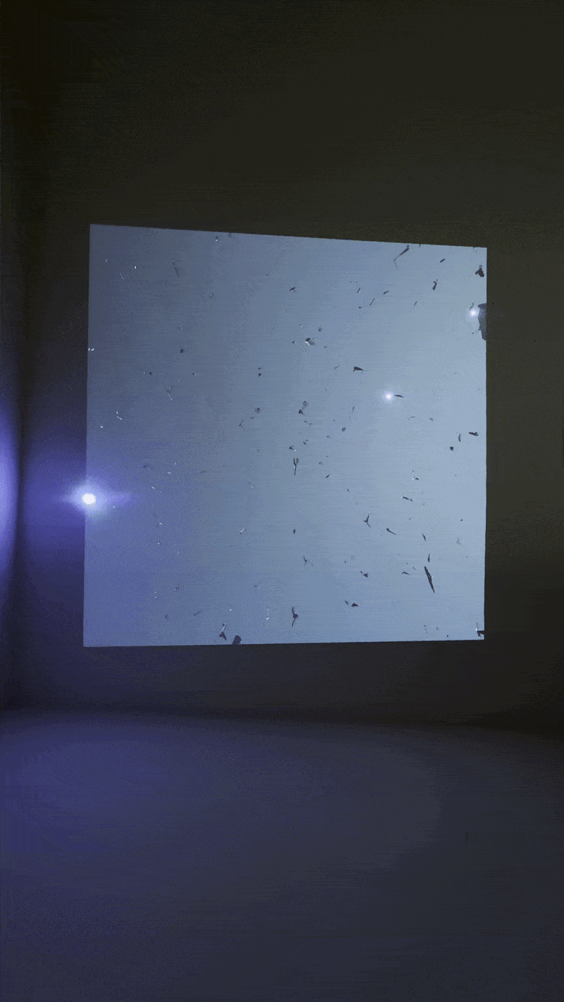 Aiminath Sulthana, Birds Blade, 2026