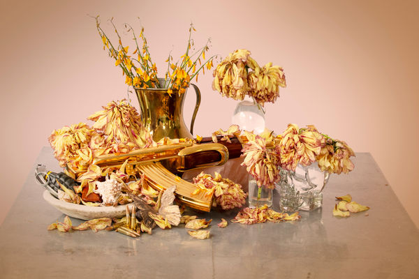 Renaissance Dead or Alive (D)