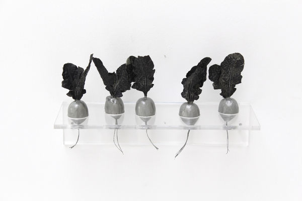 Luka Fineisen relatives, 2015 resin, paint, fabric, Plexiglass 6 x 10 1/2 x 4 inches (with shelf)
