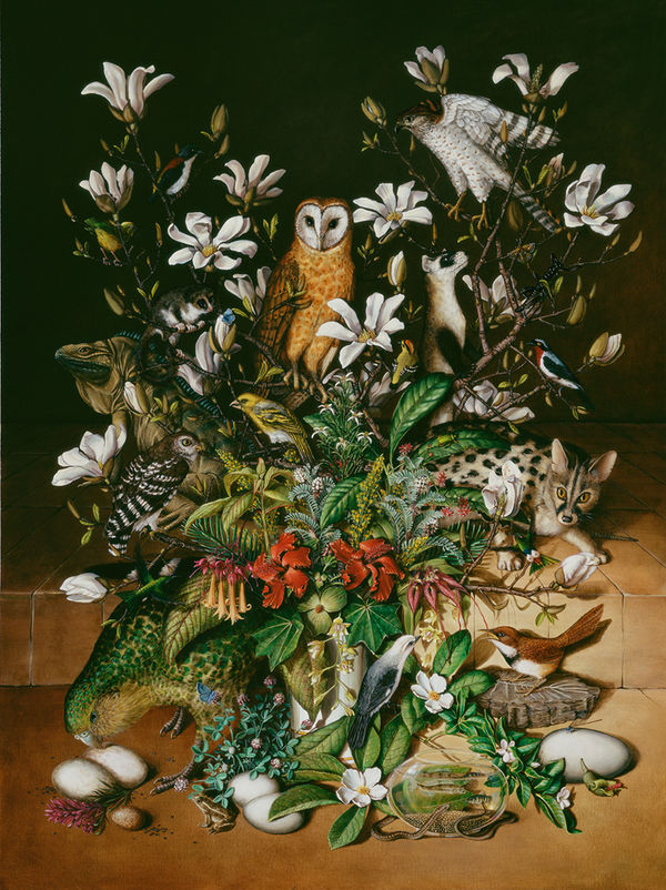Highly detailed and realistic oil still life on panel of a variety of species that have been on the brink of extinction but have been brought back. Such species include the hatian magnolia the madagascar red owl and the kakapo