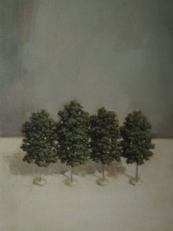 Four planted fake trees in a row stand on a white surface against a dark gray background separated by a strong horizon line.