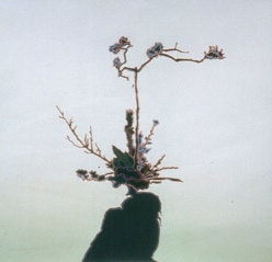 Greg Rose Arrangement #1, 2002 ink and gouache on paper 39.5 x 39.5 inches 100.33 x 100.33 cms