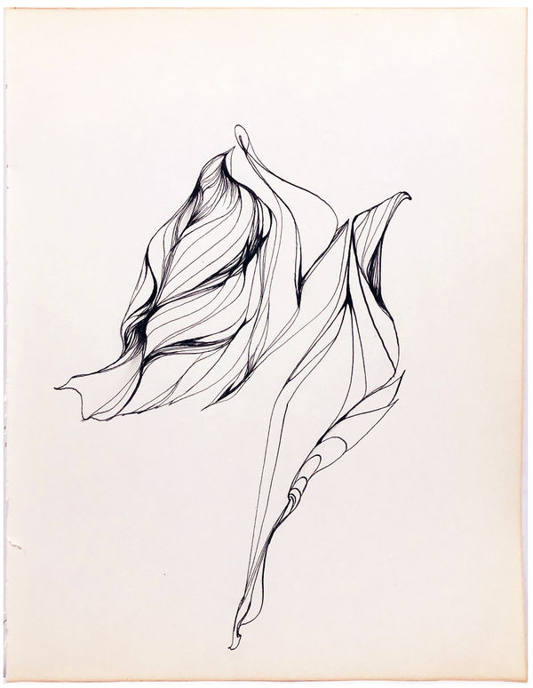 Cameron Untitled, n.d. ink on paper 10 3/4 x 8 1/4 in 27.3 x 21 cm