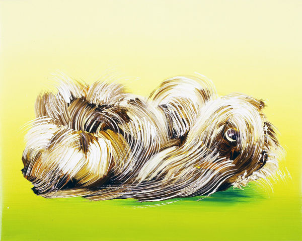 Abstracted guinea pig viewed from the side against neon yellow and green background. Guinea pig’s hair is abstracted, made from the lines of graphic brush strokes.