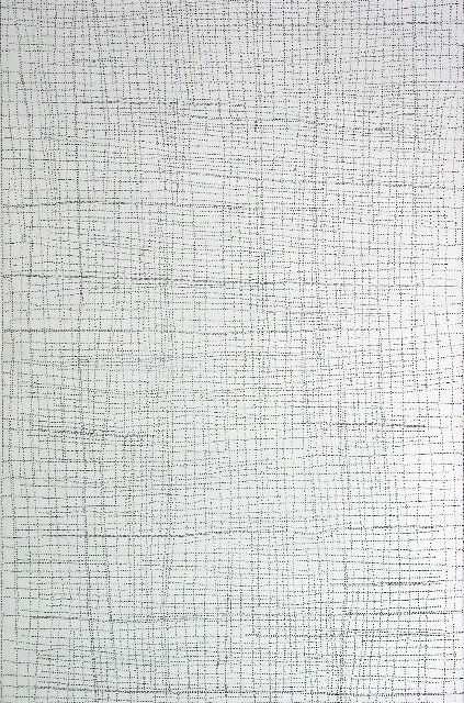 Dorothy Napangardi Mina Mina 10048DN, 2005 acrylic on belgium linen 48 x 78 inches 121.92 x 198.12 cms