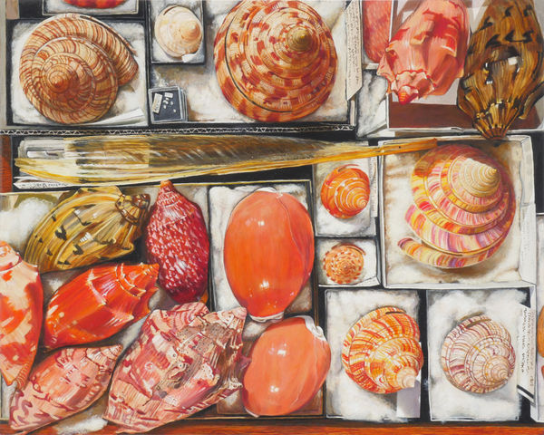 Isabella Kirkland, David's Shells 1, 2023