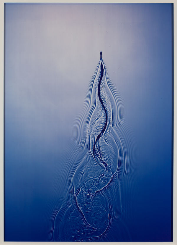 ADAM FUSS Untitled, 2015 Cibachrome photogram 65 1/8 x 47 inches (framed)