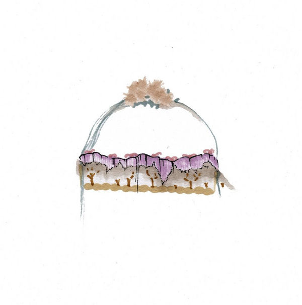 Ink and marker piece of a gray brown and purple cake with multiple pink frosting bows decorating the top. Curving above the cake is a muted green arch with brown splotches that allude to flowers