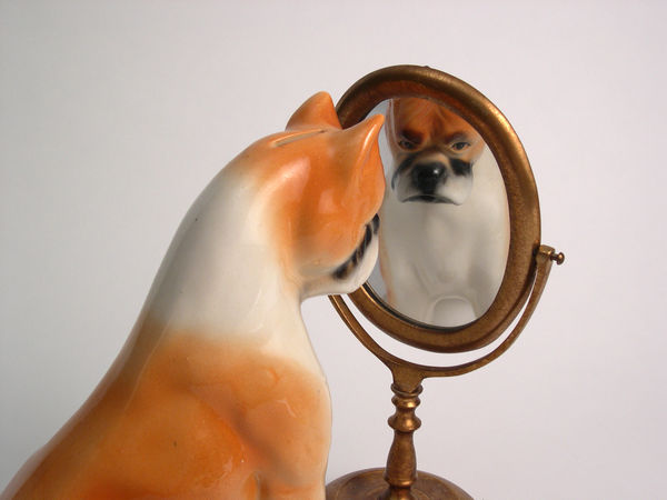 Liliana Porter, Dog/Mirror, 2006