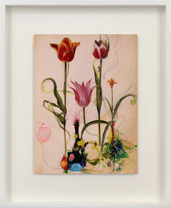 Sebastiaan Bremer Cunning stunts, 2025