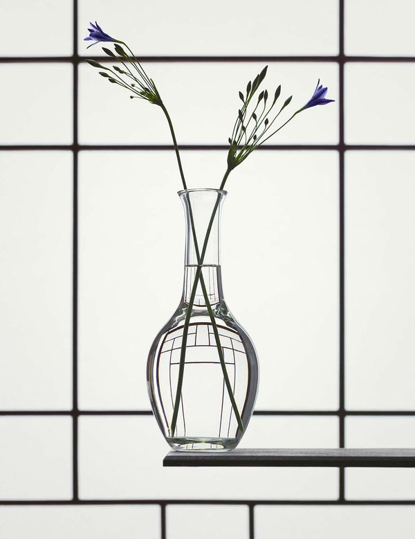 Still Life with Triteleia