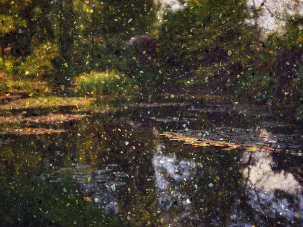 Abelardo Morell Tent-Camera Image on Ground: View of Monet's Water Garden #1, Giverny, France, 2023