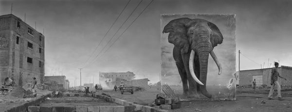 Nick Brandt Road with Elephant, 2014