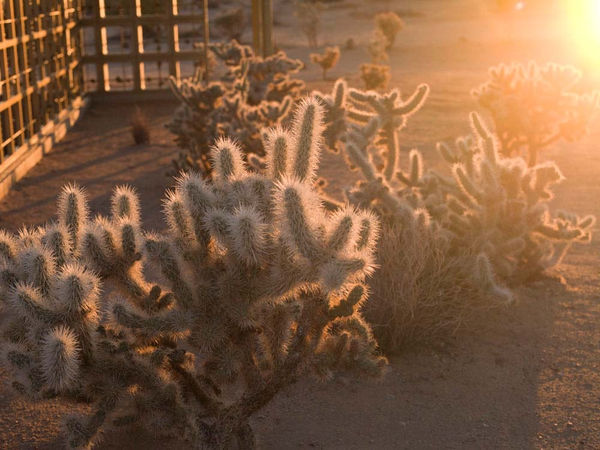 Mona Kuhn AD6726, 2013