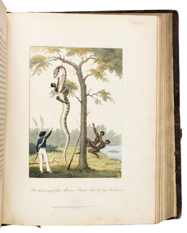 Stedman, John Gabriel, Narrative, of a five years' expedition, against the revolted negroes of Surinam, in Guiana, on the wild coast of South America… with an account of the Indians of Guiana, & negroes of Guiana, 1796. London, printed by J. Johnson and J. Edwards.