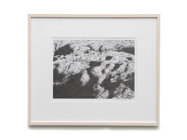 BIRGIR ANDRÉSSON, Untitled (Moss), 1999