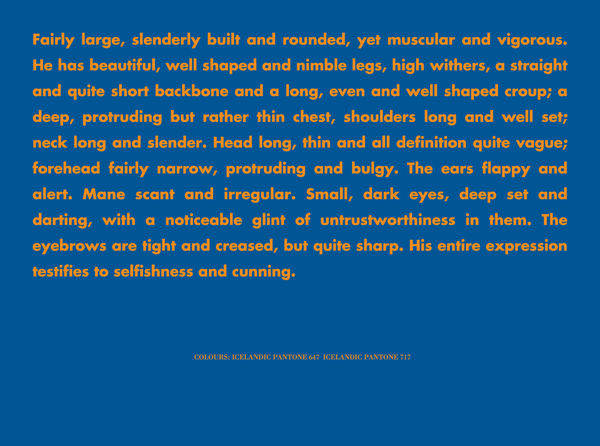 BIRGIR ANDRÉSSON, Horse Portrait (Fairly large, slender..), 2005