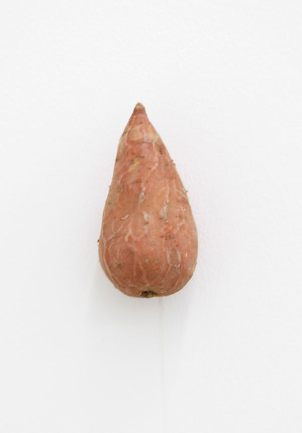 KARIN SANDER, (Kitchen Pieces), 2011 / 2016