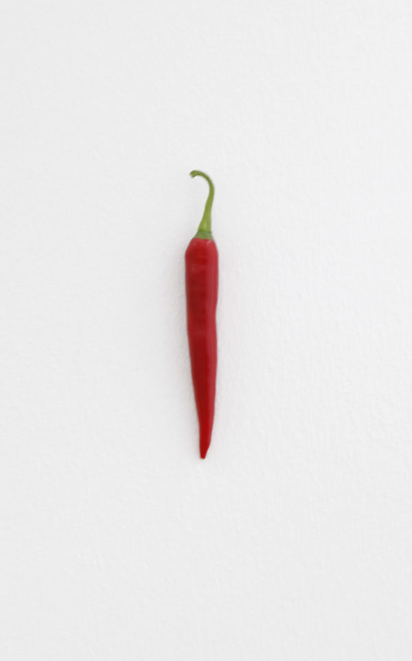KARIN SANDER, Chili pepper (Kitchen Pieces), 2011 / 2016