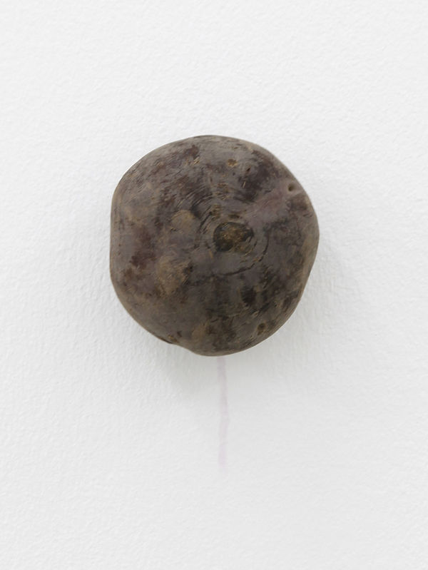 KARIN SANDER, Beetroot (Kitchen Pieces), 2011 / 2016