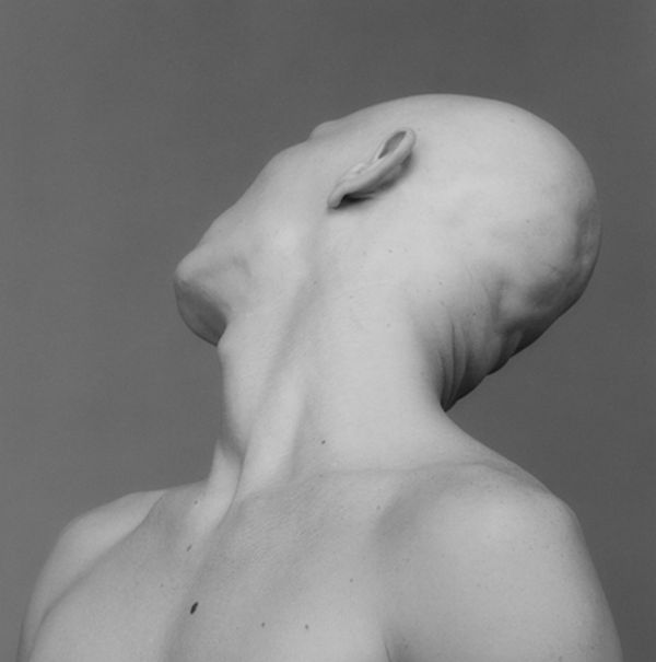 Robert Mapplethorpe, Robert Sherman, 1983 / printed 1993