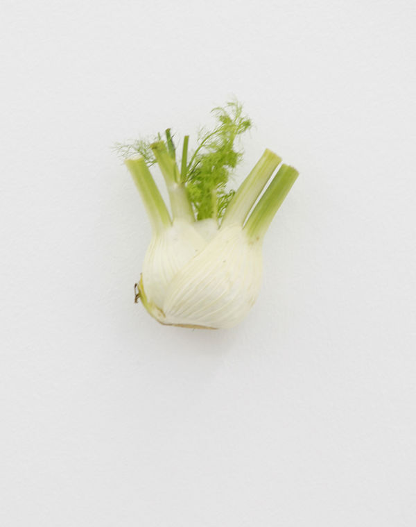 KARIN SANDER, Fennel (Kitchen Pieces), 2011 / 2016