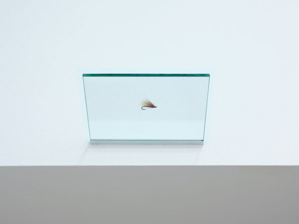 HREINN FRIÐFINNSSON, Hairy Mary, 1999-2022